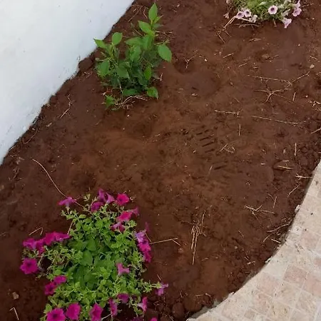 Barone Di Aruca Porto Cesareo